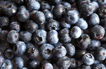 Fresh ripe blueberry as backround. Concept healthy nutrition. Close-up.