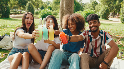 Happy, smiling multiethnic young people at picnic on summer day outdoors. Group of friends having fun with drinks, raising toasts while relaxing in the park at picnic