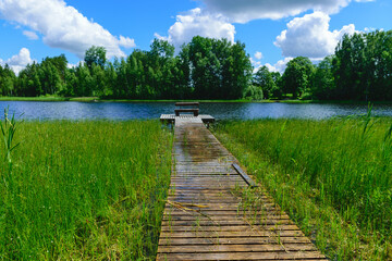 wooden footbridges, swampy lake shore, marsh plant vegetation - obrazy, fototapety, plakaty