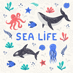 Vector illustrations of cute sea animals, ocean inhabitants, kids set for girls and boys, cartoon whale, killer whale, jellyfish, starfish, coral. Set of hand drawn marine elements.