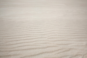 rippled sand background, dune in Slowinski National Park, Leba, northern Poland