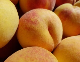 Ruddy fresh peaches (Prunus persica) in the sun (macro, top view, texture).