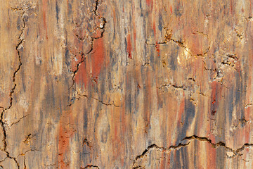 Soil texture background, top view