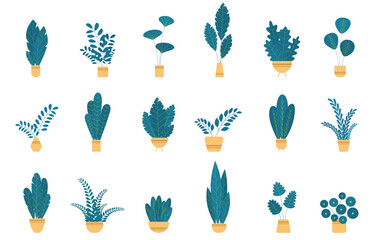 Set house plants and flowers in ceramic pots.