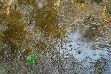 Close-up of wet clay soil with puddles after rain. Small leaves on wet ground.