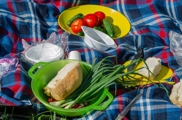 for a picnic on green grass, a blue checkered blanket is spread on which vegetables and green onions are laid out vegetables are cut into pieces