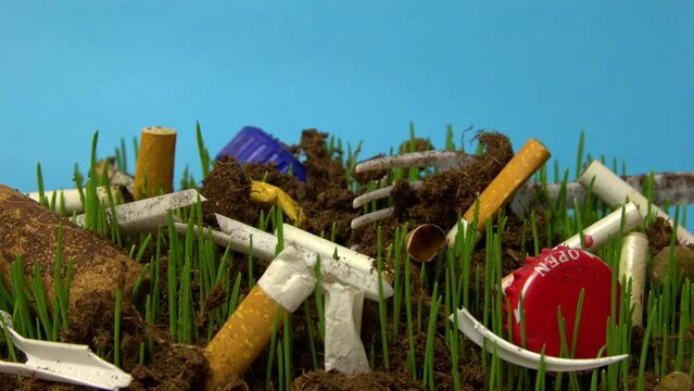 Grass is growing on the littered ground full of cigarette buds and plastic trash in macro timelapse on chroma key background. Isolated view on plants appearing from under spoiled ground. Nature theme.