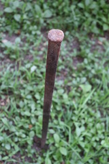 Agricultural old tools in the farm