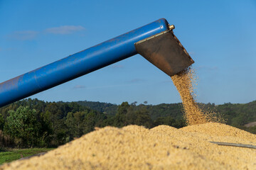 Combine soybean harvester loading soybeans into truck