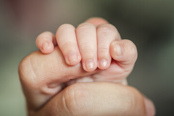 Close-up detail macro view of baby holding on to parent finger with his little hand. Soft child skin. Love and family emotion