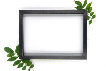 green frame isolated on white