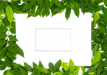 frame with leaves