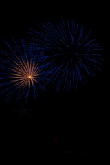 Fototapeta na wymiar fireworks in the night sky