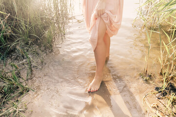 Young woman standing in lake at sunset among fresh reed grass barefooted - 520590892