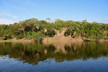 varzea area of the amazon, result of the low level of the river