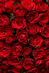 Bunch of red roses flowers texture background