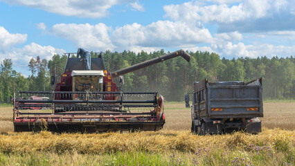 Combine harvester harvesting on the field. Harvesting wheat. Harvester machine working in field.