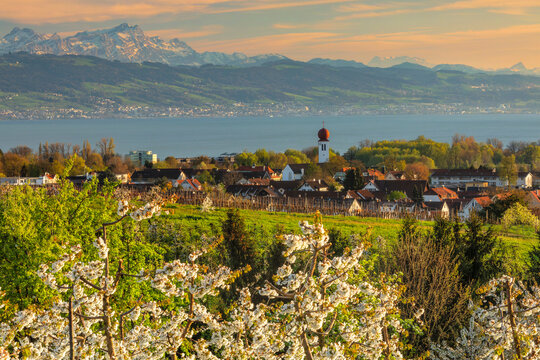 View over Kressbronn to Lake Constance and Swiss Alps with Santis, 2502m, Upper Swabia, Baden-Wurttemberg, Germany
