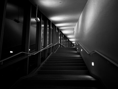 Grayscale Shot Of An Ascending Staircase In A Building