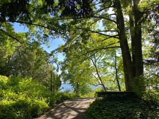 Fototapeta premium The Botanical Garden of the University of Zurich or Botanischer Garten der Universität Zürich (Botanischer Garten der Universitat Zurich - Botanischer Garten der Universitaet Zuerich), Switzerland