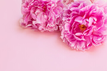 Beautiful bouquet of pink pastel peony flowers.