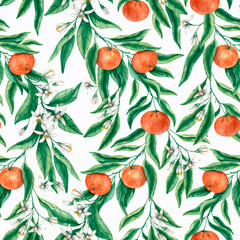 Watercolor seamless pattern with green branches, white citrus tree flowers and tangerines on a white background. Painted by hand. Botanical design for fabric, textiles, packaging, cover.