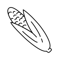 Hand drawn doodle corn icon, vector doodle illustration of a corn with seeds and leaves, isolated outline clipart of maize on white background, organic vegetarian eating, farm vegetable