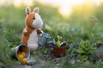 Guinea pig knitted toy
