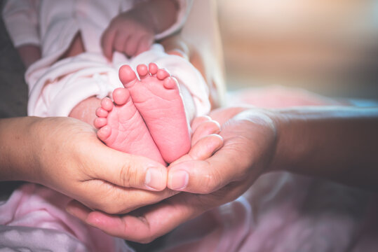 Close up images, Feet of 7-day-old Asian baby newborn are placed on the father and  mother's hand, which has pink skin, On pink background, to family and baby newborn concept