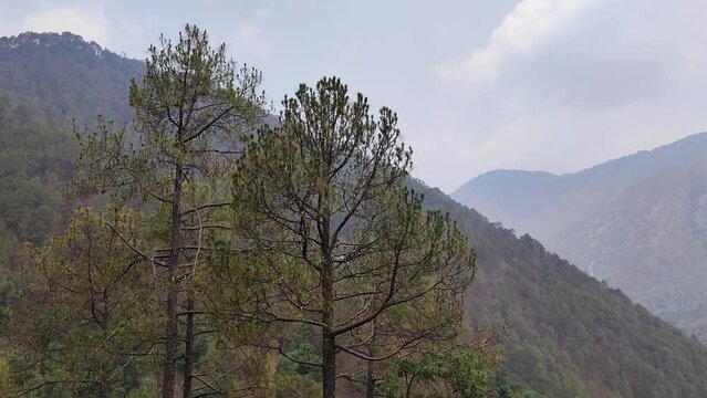 Beautiful view of the Uttarakhand Mountains range, dry trees and mountains with a foggy sky