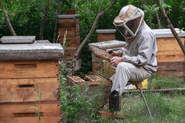The beekeeper works with the bee family. Beekeeping tools, beehive, smoker, frame and chisel.