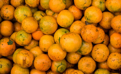 yellow and orange fruit
