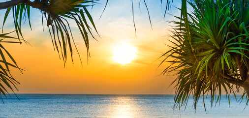 Sunset sea and beach panorama with coconut palm leaves and sunset sun on sunset sky