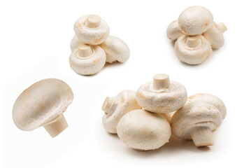 Champignon mushroom isolated on white background.