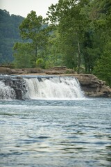 Vertical shot of a river flowing in a forest surrounded by green nature in daylight