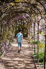Rear, vertical shot of a kid walking in the alley surrounded by Chinese wisteria