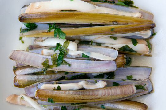 Plate with cooked razor shells in french Brittany