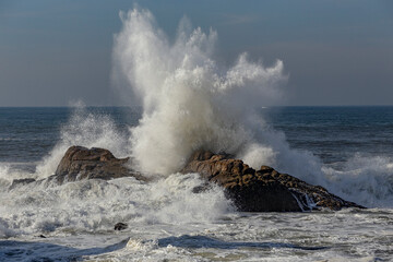 Fototapeta na wymiar Big sea wave splash in a sunny autumn day