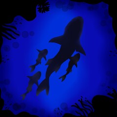 a family of sharks wander the ocean