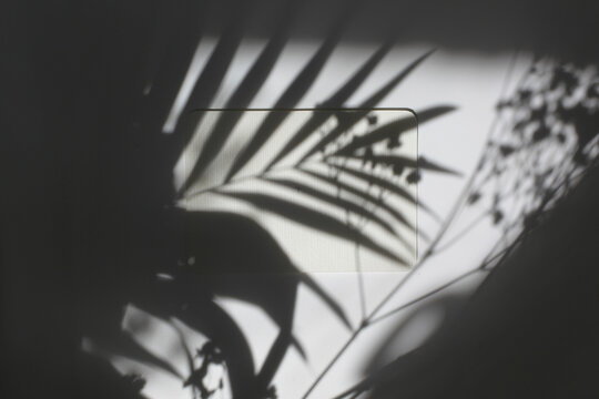 Light and shadows leaf palm reflection. Empty Blank texture canvas paper card with copy space. Minimalism template background.