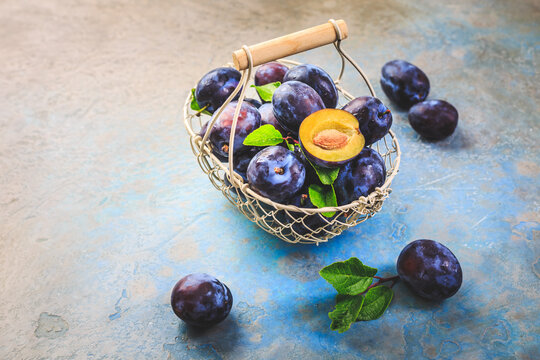 Freshly picked prune plums (Zwetschgen) fruits in a basket