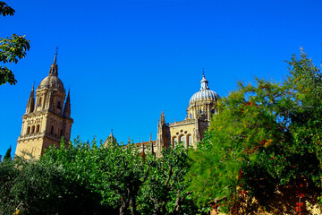 Fototapeta premium Close view of the cathedral in Salamanca, Spain, over the trees on a sunny day with a bright blue sky