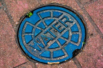Blue water valve cover on a brick sidewalk