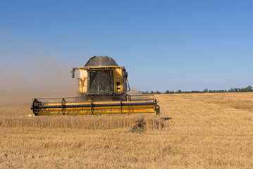 Fototapeta na wymiar Combine harvester harvests wheat in a wheat field