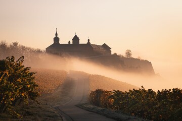Road taking to a fortress in a fog surrounded by a  vineyard during twilight