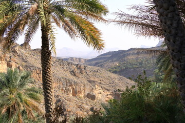 Fototapeta na wymiar Panoramic View from Misfah old House in Misfat al Abriyeen