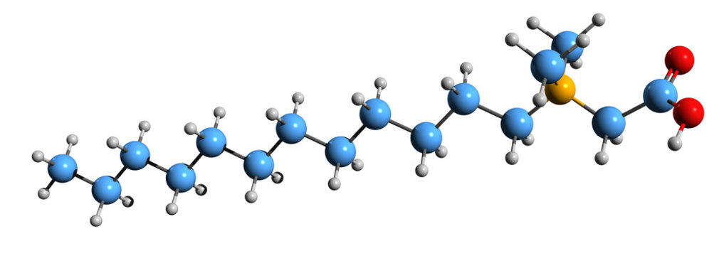 3D image of lauryl dimethyl betaine skeletal formula - molecular chemical structure of amphoteric surfactant isolated on white background
