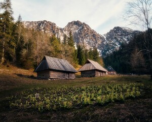 Beautiful view of Polana Strazyska with the Giewont mountain in the background in Zakopane, Poland © Mieszko Radwanski/Wirestock Creators