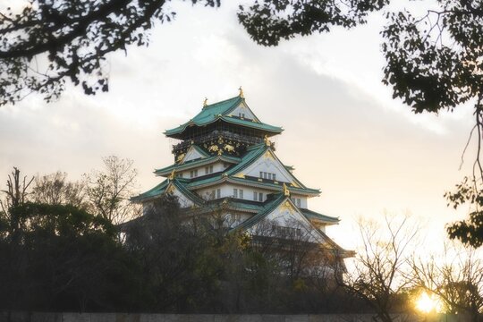Beautiful view of the famous Osala Castle at dawn, Japan