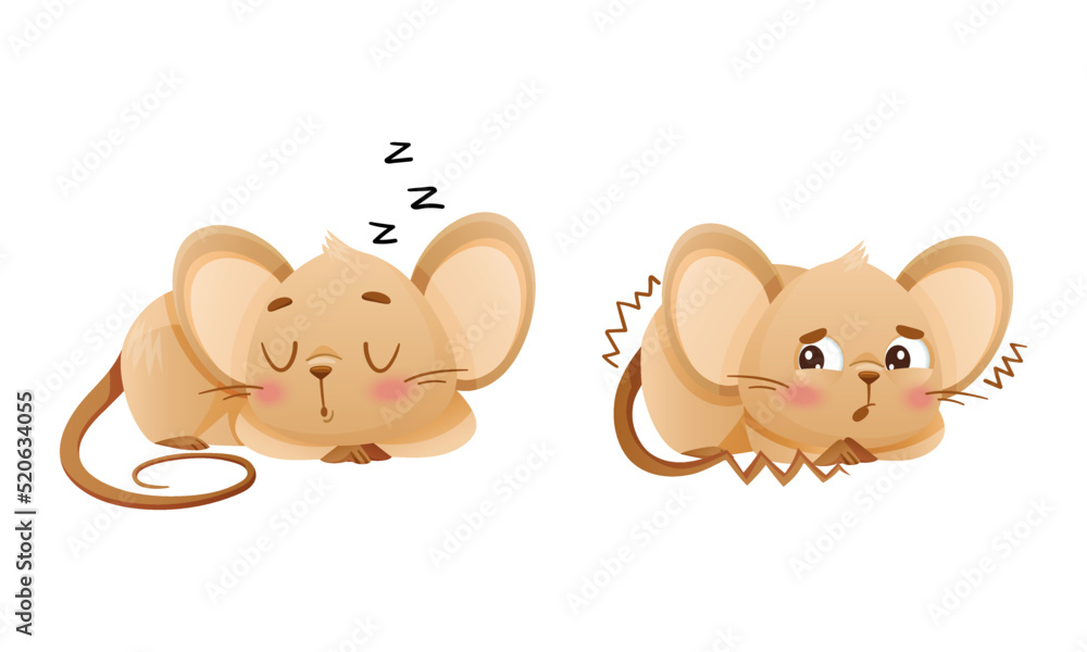Poster little mouse character with long tail and big ears shivering with fear and sleeping cuddling vector 